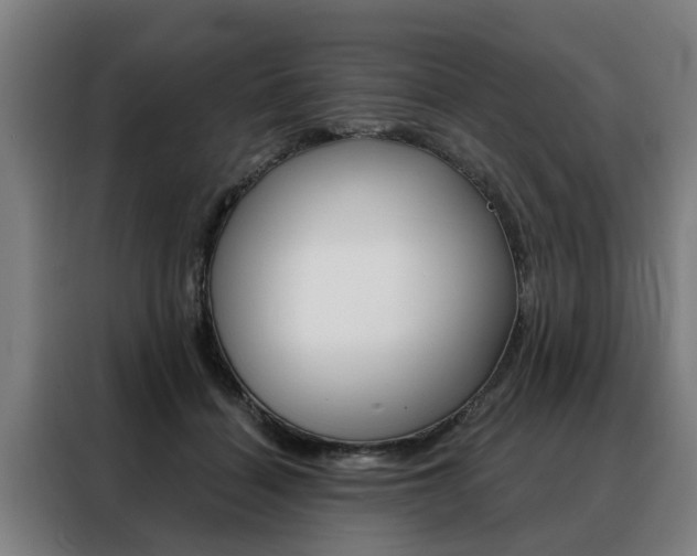 X0000088470460200705220944