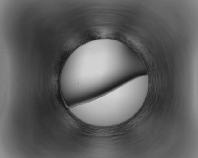 X0000088470461200705220944