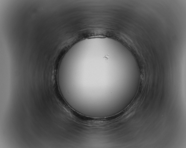 X0000088470462200705220944