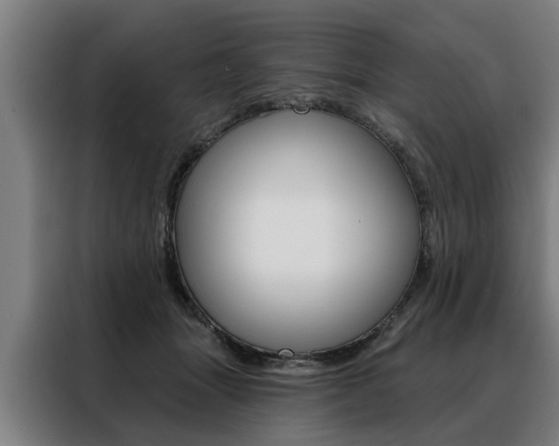 X0000088470463200705220944