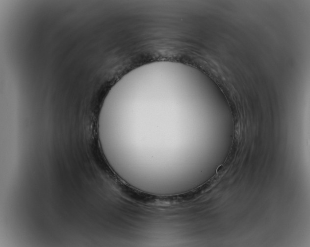 X0000088470464200705220944