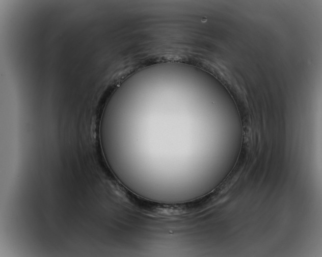 X0000088470466200705220944
