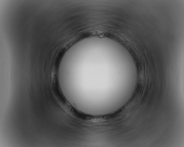 X0000088470468200705220944