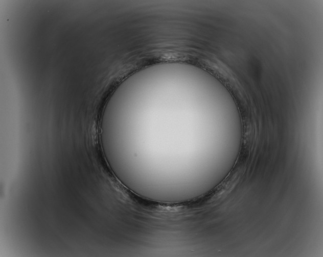 X0000088470469200705220944