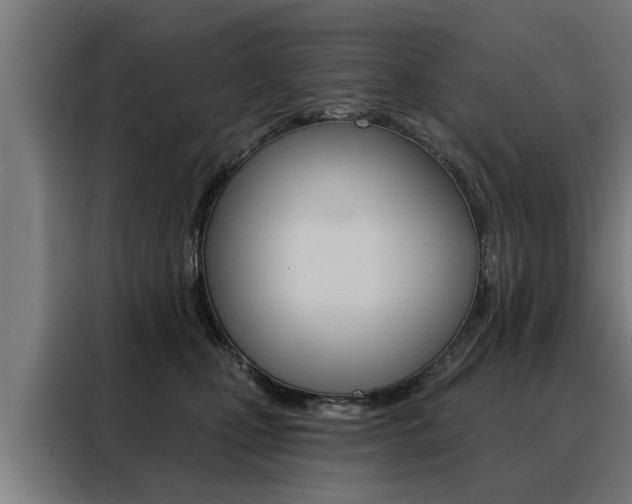 X0000088470471200705220944