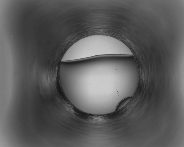 X0000088470475200705220944