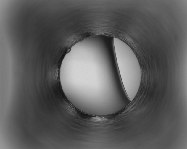 X0000088470477200705220944