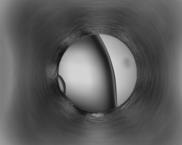 X0000088470478200705220944