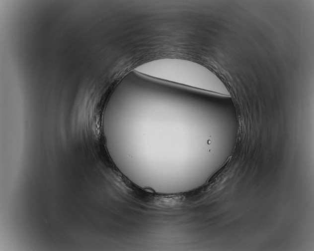 X0000088470479200705220944
