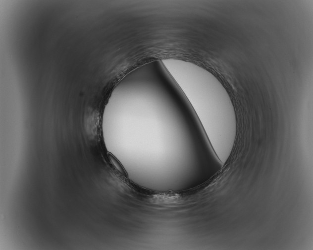 X0000088470480200705220944