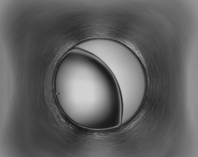 X0000088470481200705220944