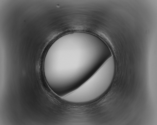 X0000088470483200705220944