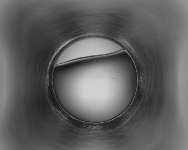 X0000088470484200705220943