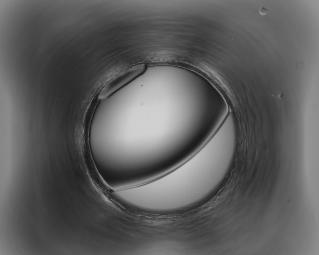 X0000088470485200705220943