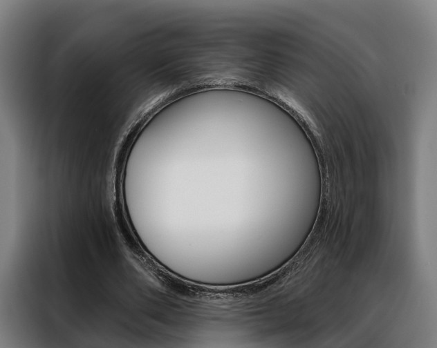 X0000088470486200705220943