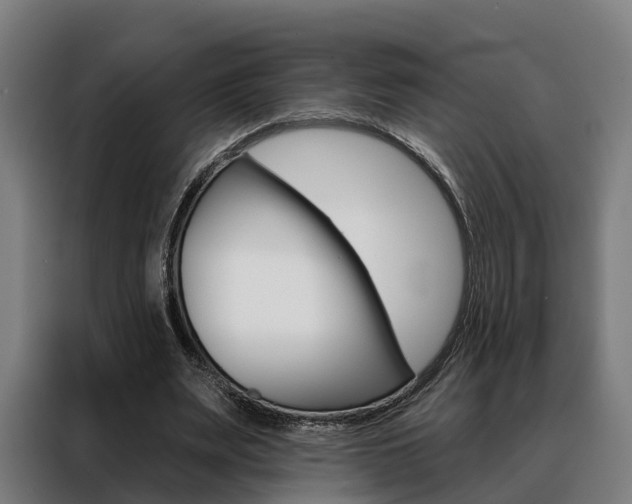 X0000088470487200705220943