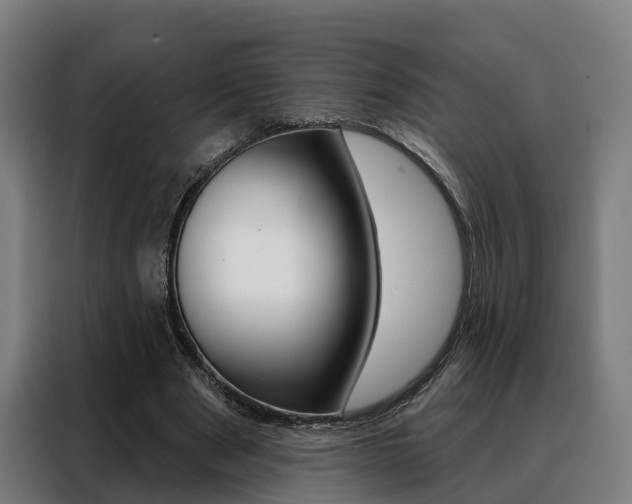 X0000088470489200705220943