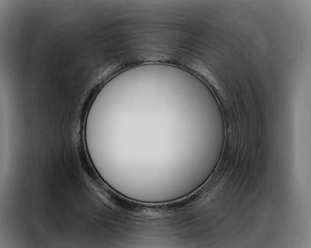 X0000088470490200705220943