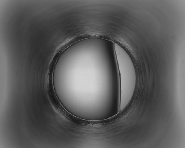 X0000088470492200705220943