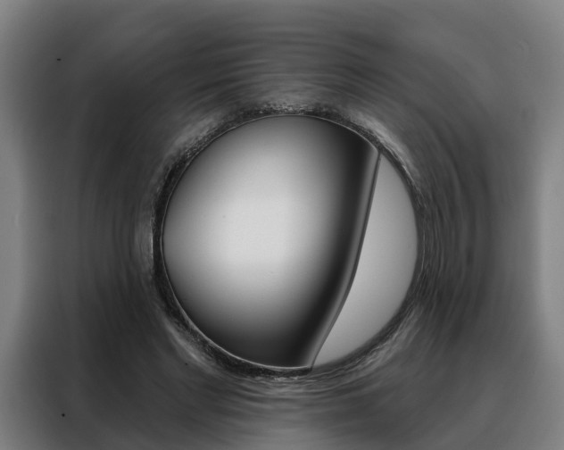 X0000088470493200705220943