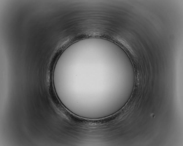 X0000088470494200705220943