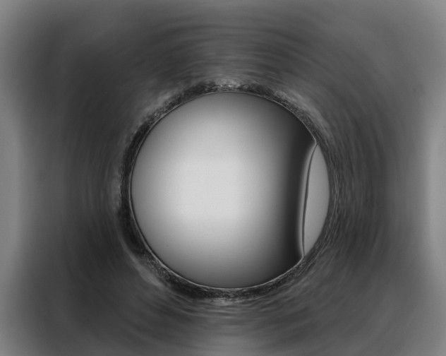 X0000088470496200705220943