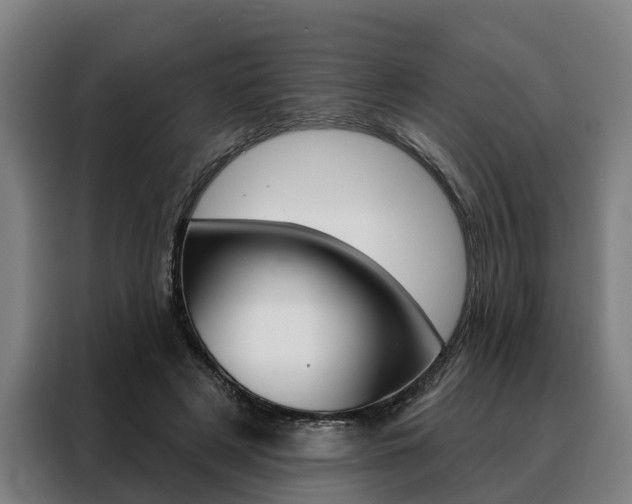X0000088470497200705220943