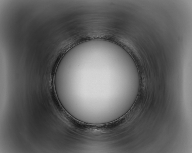 X0000088470498200705220943