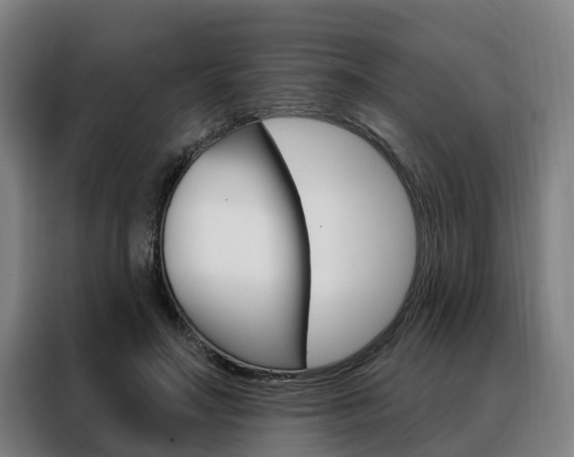X0000088470499200705220943
