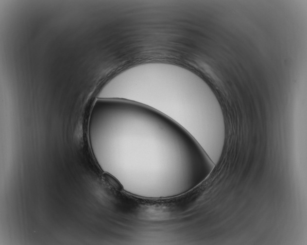 X0000088470500200705220943