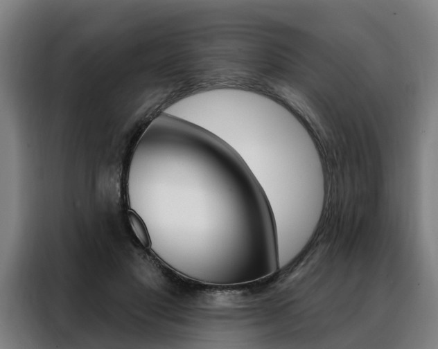 X0000088470501200705220943