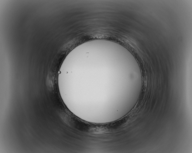 X0000088470503200705220943