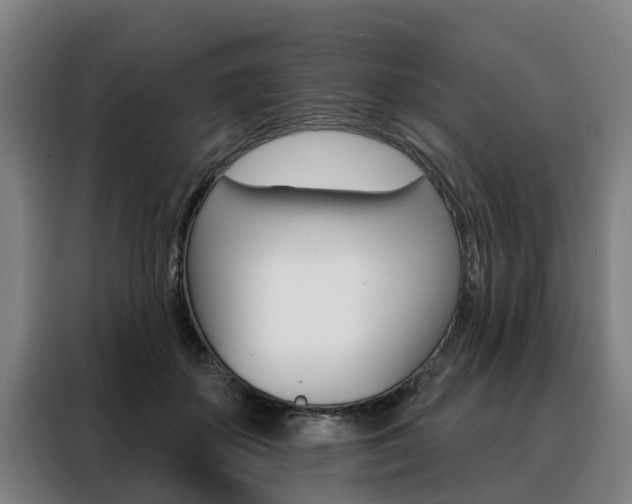 X0000088470507200705220943