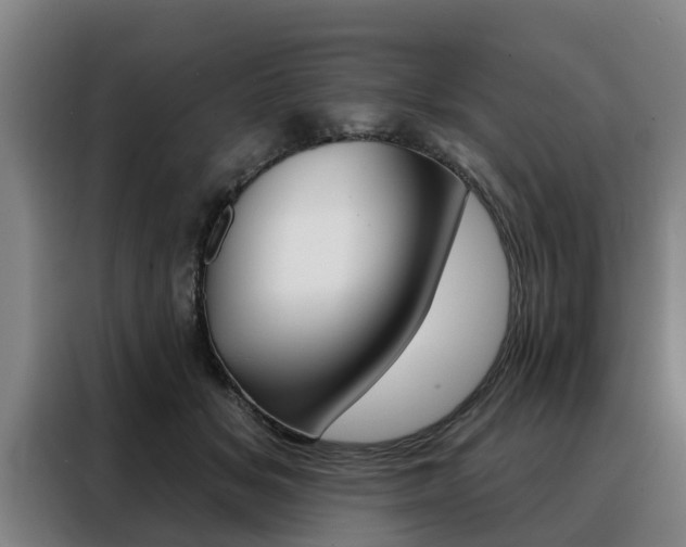 X0000088470509200705220943