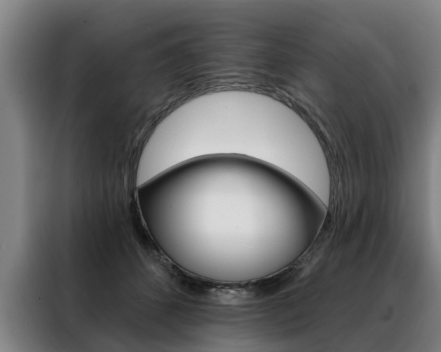 X0000088470512200705220943