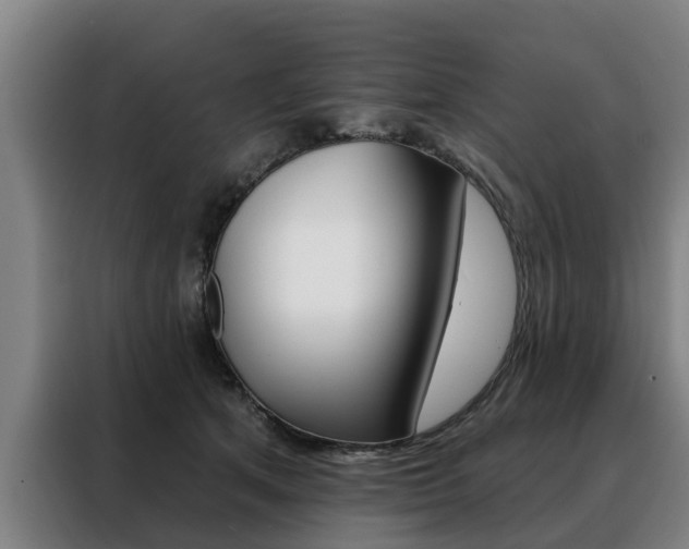X0000088470513200705220943