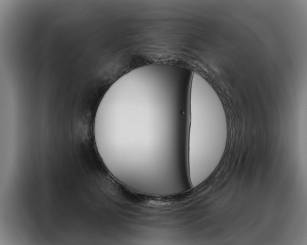 X0000088470515200705220943