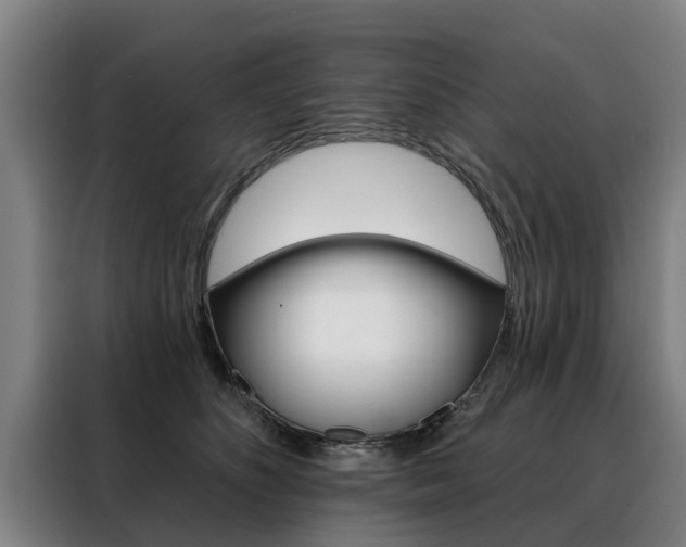 X0000088470516200705220943
