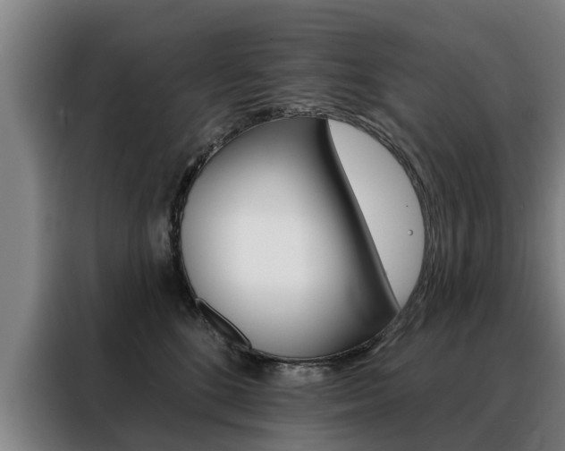 X0000088470520200705220943