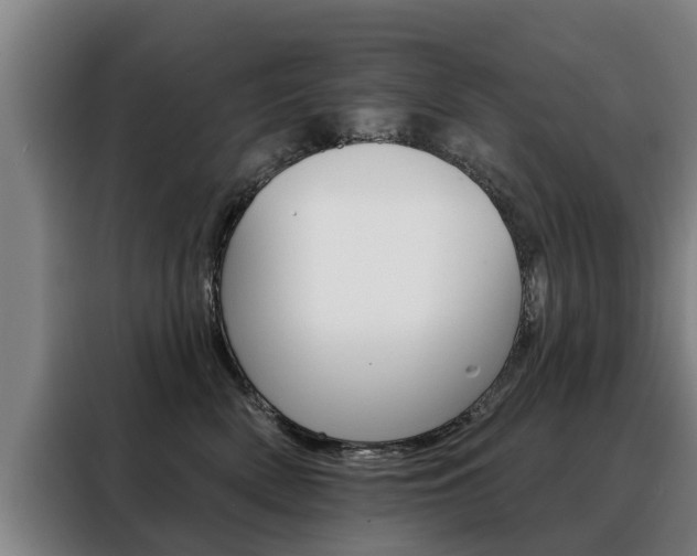 X0000088470522200705220943