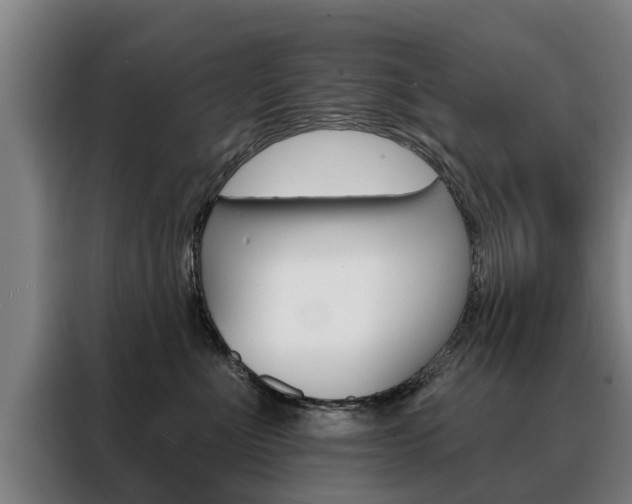 X0000088470523200705220943