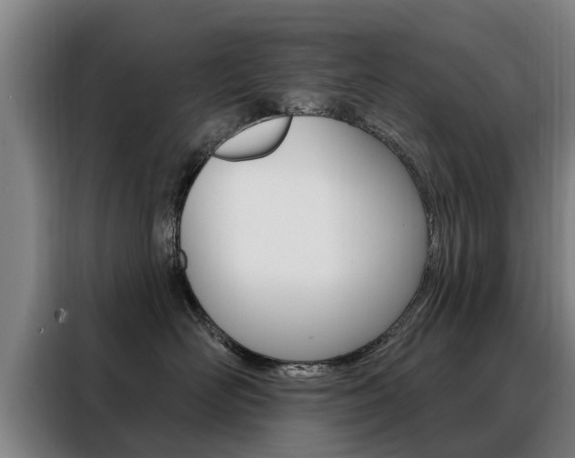 X0000088470526200705220943