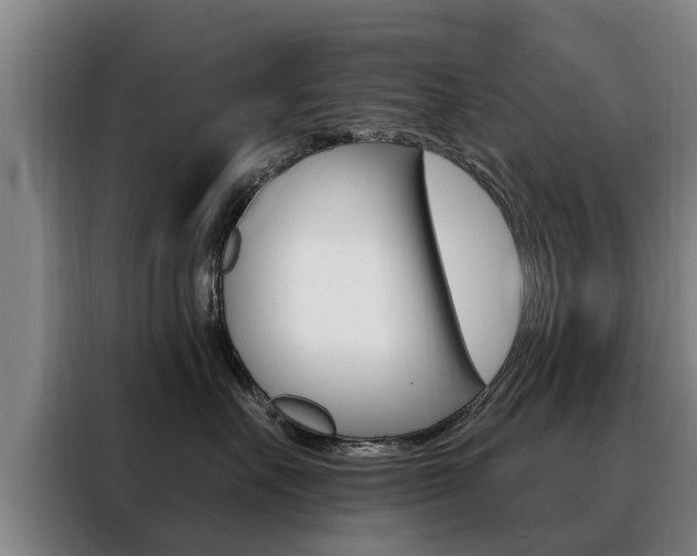 X0000088470527200705220943