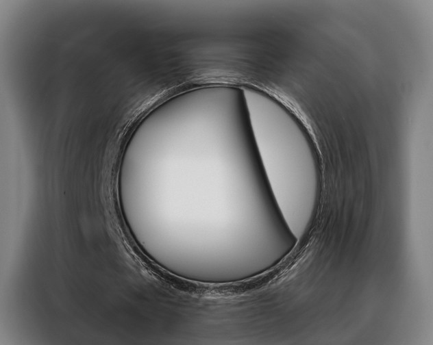 X0000088470529200705220942