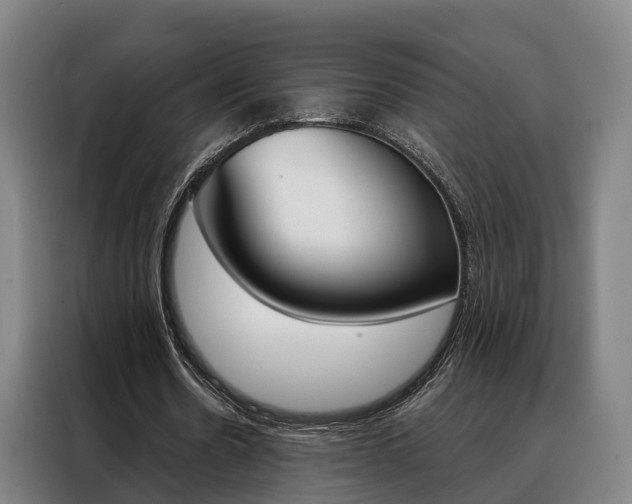 X0000088470530200705220942