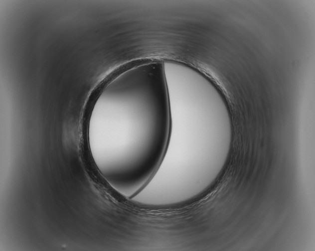 X0000088470532200705220942