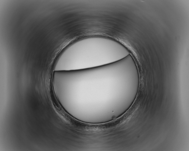 X0000088470533200705220942