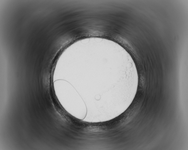 X0000088470534200705220942