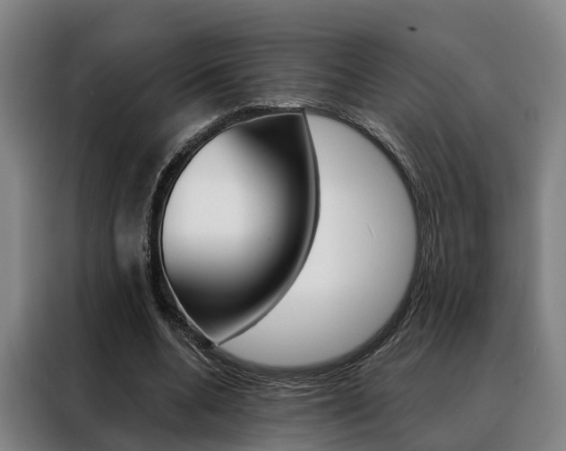 X0000088470536200705220942