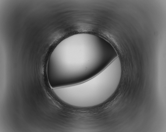 X0000088470539200705220942